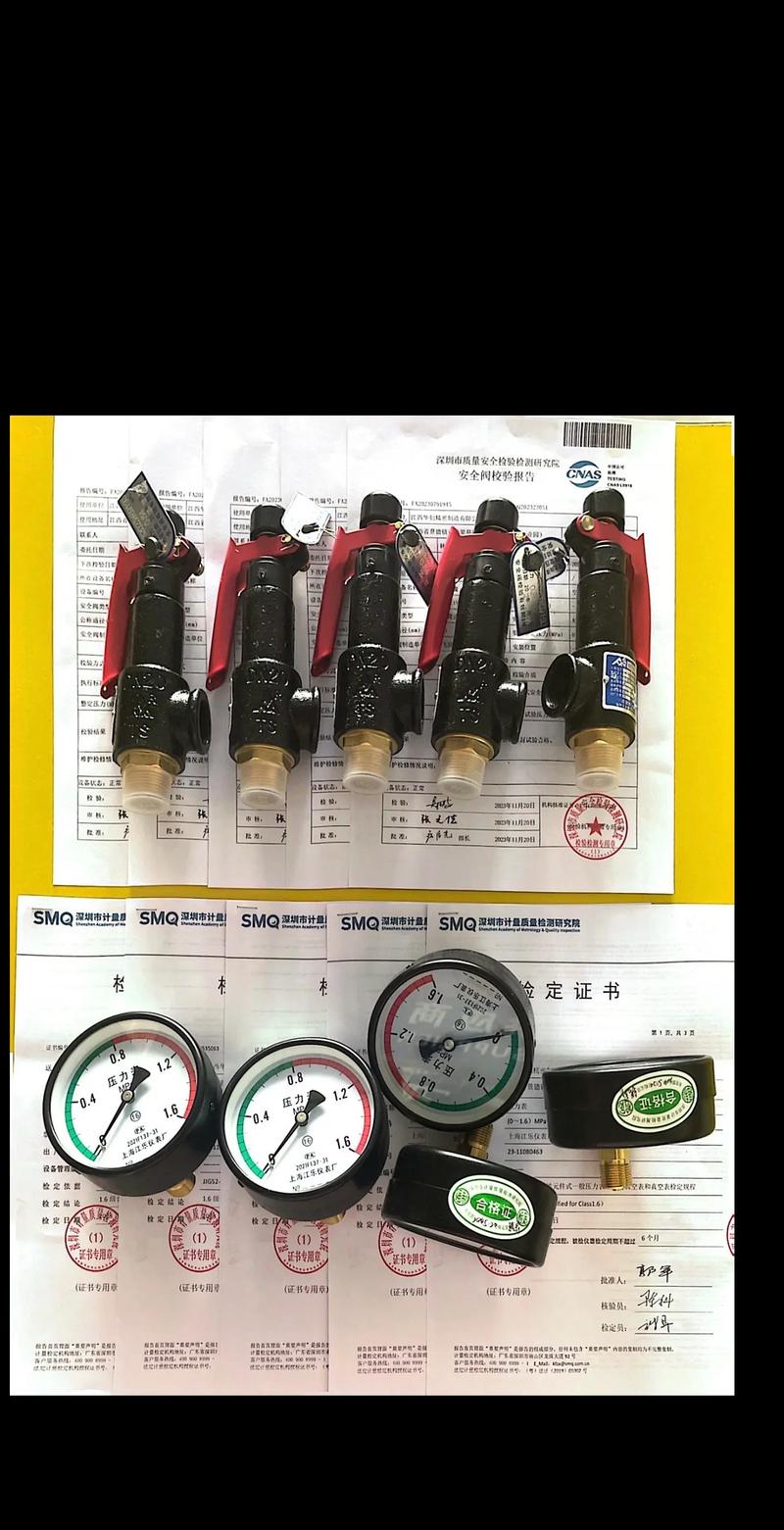 安全阀强检,依据什么标准